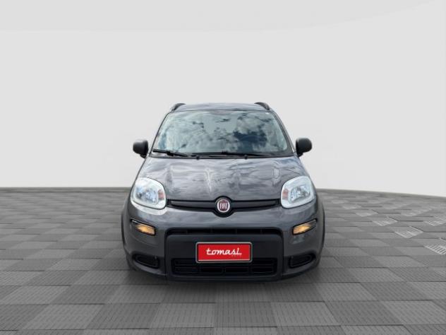 FIAT Panda Panda 1.0 FireFly Hybrid City Life rif. 23635751 - Foto 8