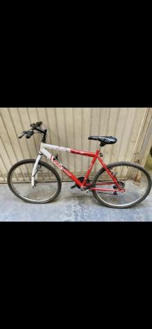 Bici Torpado anni 70 inoltre mountain bike Freyus - Foto 4