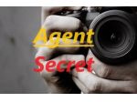CURRICULUM VITAE/ AGENTE INVESTIGATIVO