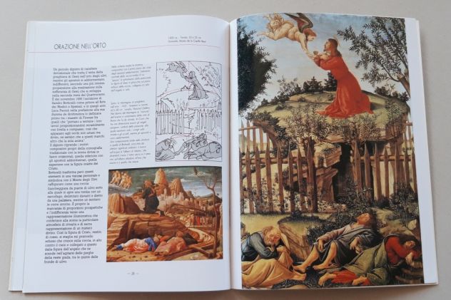 BOTTICELLI - Foto 9