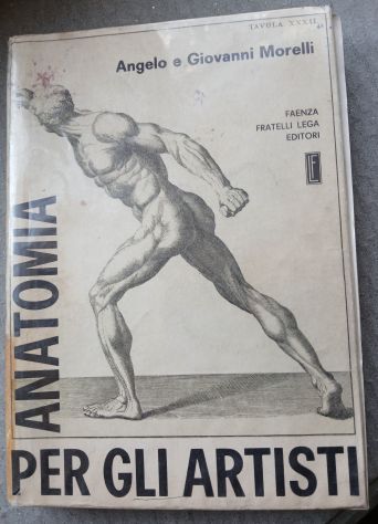 ANATOMIA PER GLI ARTISTI, Ed. F.lli Lega 1968.