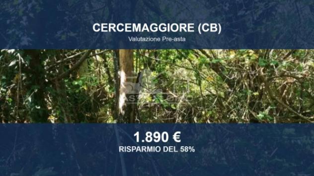 Immobile in asta di 1124 m² in vendita a Cercemaggiore