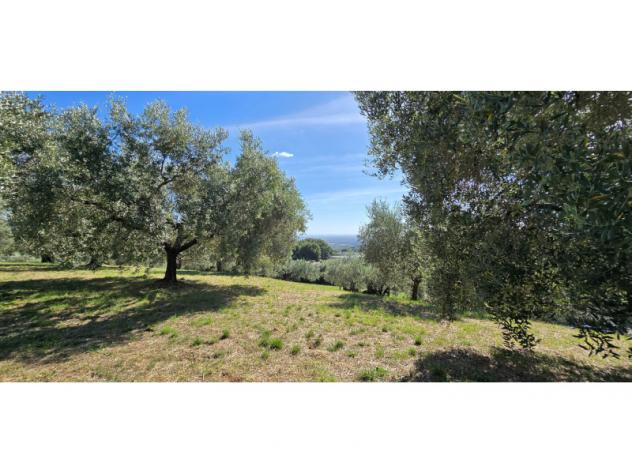 Agricolo in Viale del Lavoro - Foto 11