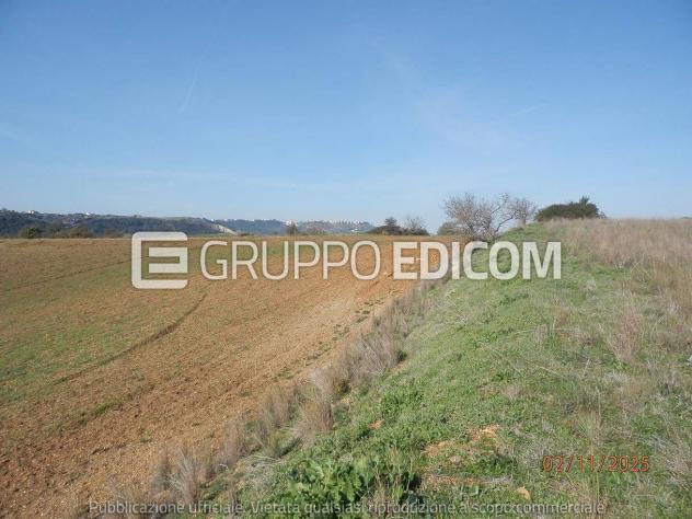 Terreno di 46370 mq in vendita a Montescaglioso - Rif. 4555042 - Foto 18