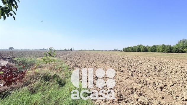 Lotto terreno agrico - Foto 3