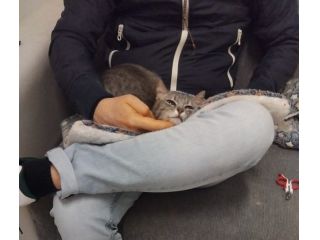 SISSY e MISTY, mamma e cucciola adottiva