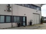 Capannone artigianale in affitto a Castelfranco di Sotto 300 mq  Rif: 480214
