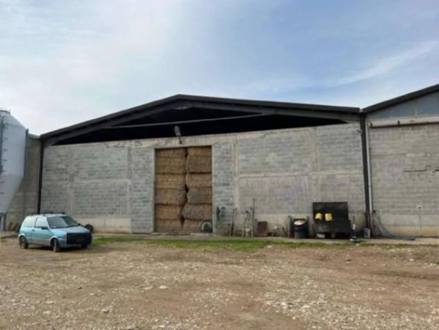 Immobile in asta di 2100 m² in vendita a Venosa - Foto 2