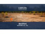 Immobile in asta di 3600 m² in vendita a Luzzi