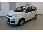FIAT Panda 1.0 FireFly S&S Hybrid Pandina