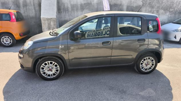 Fiat Panda 1.0 FireFly Hybrid City Life 2022 USATO - Foto 8