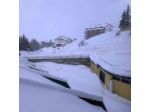 Gestione Turismo Immobiliare S.r.l.