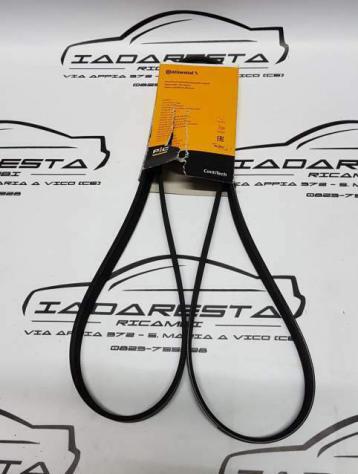 Cinghia Servizi Poly-V per DR MOTOR DR5