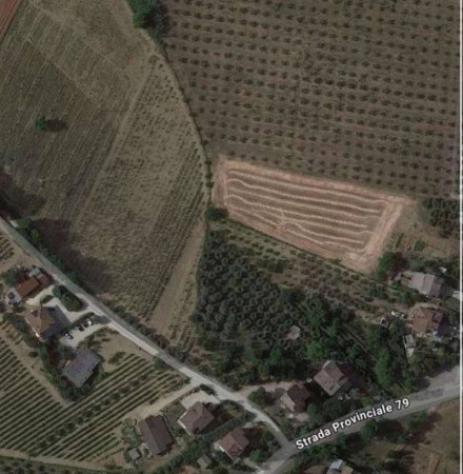 Immobile in asta di 4930 m² in vendita a Castignano - Foto 2