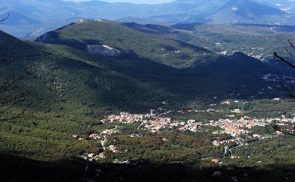GIFFONI SEI CASALI - LOC. PREPEZZANO - BOSCO CEDUO DI 75000MQ - Foto 3
