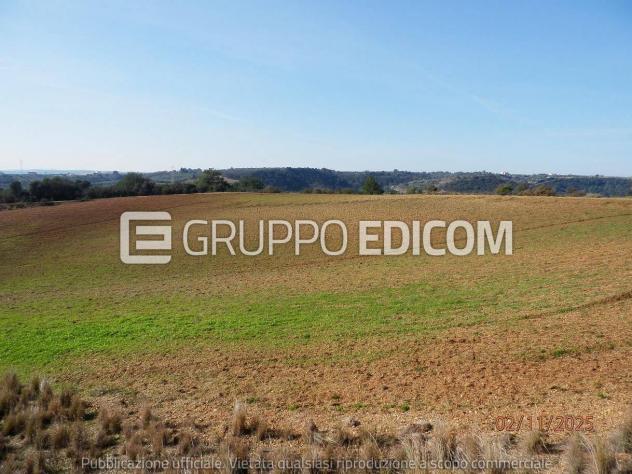 Terreno di 46370 mq in vendita a Montescaglioso - Rif. 4555042 - Foto 17