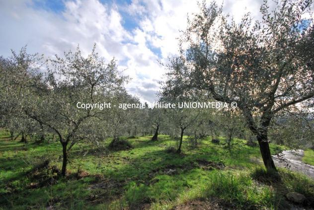Rustico in vendita a Santo Stefano di Magra - Foto 2