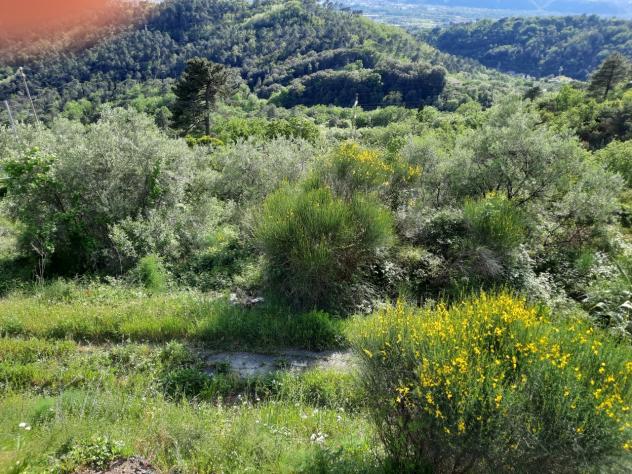 Villa in vendita a Sarzana - Foto 15