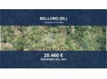 Immobile in asta di 71337 m² in vendita a Belluno