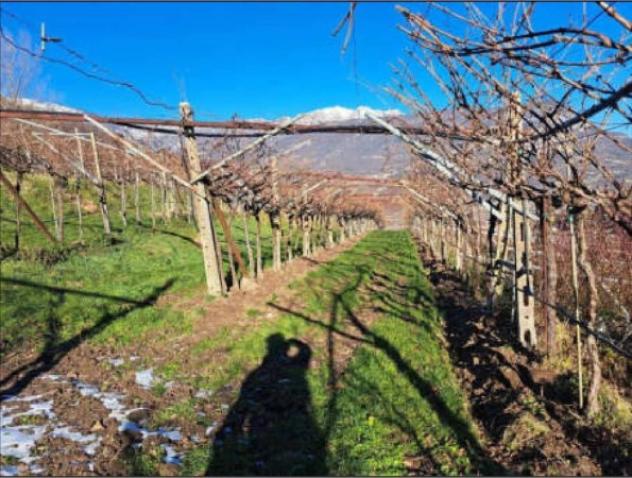 Immobile in asta di 701 m² in vendita a Rovereto - Foto 12