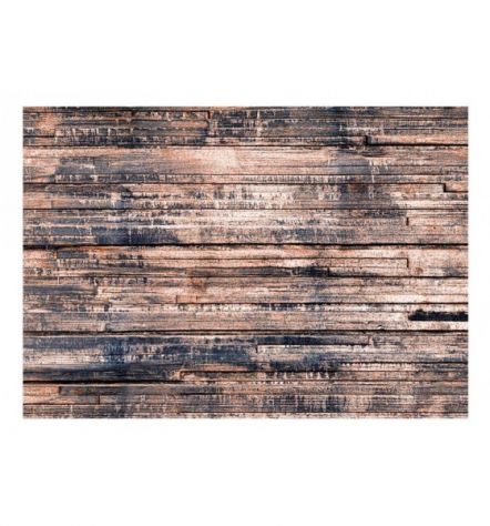 Fotomurale Adesivo Legno Rustico ARREDALACASA - Foto 2