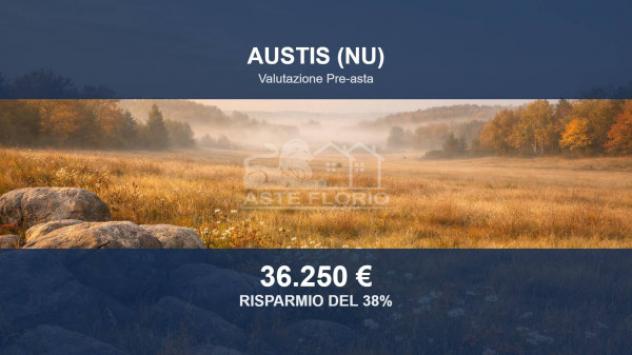 Immobile in asta di 117560 m² in vendita a Austis