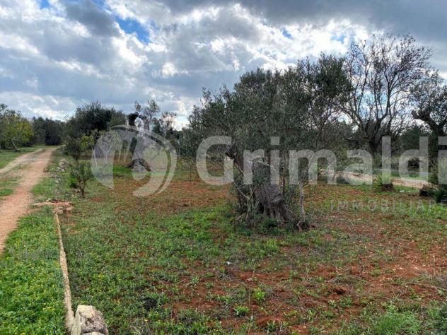 Terreno edificabile in vendita a Sannicola - Foto 2