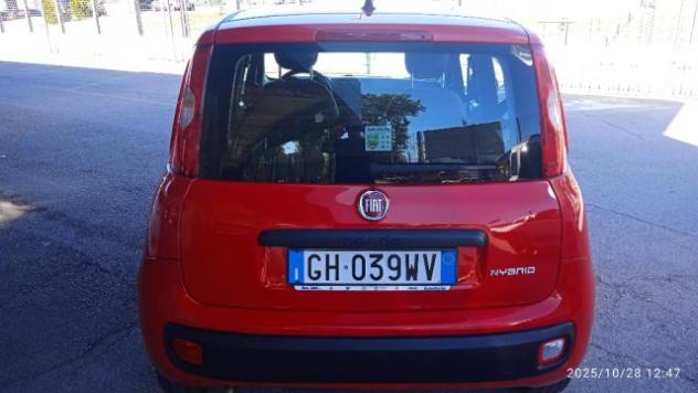 FIAT Panda 1.0 FireFly S&S Hybrid rif. 23002127 - Foto 4