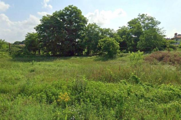 Immobile in asta di 6967 m² in vendita a Pieve Porto Morone - Foto 3