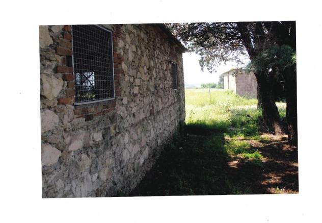 Colonica in vendita a Vada - Rosignano Marittimo 900 mq Rif: 1263895 - Foto 4