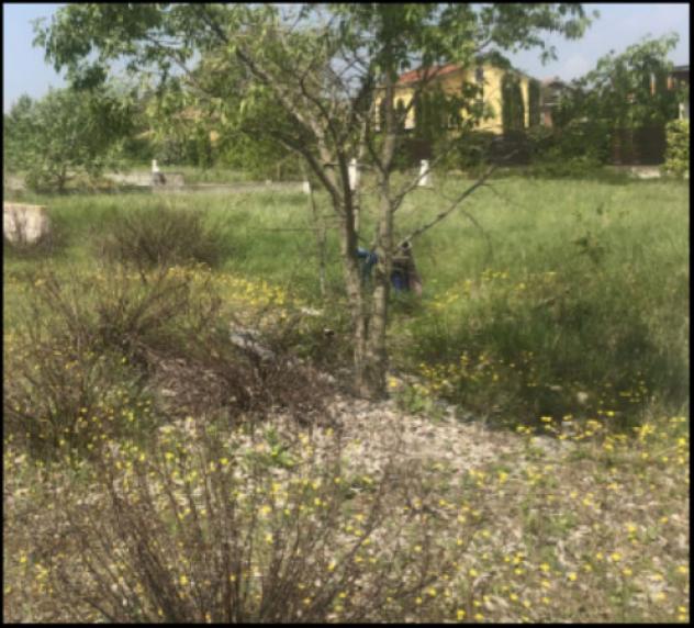 Immobile in asta di 7 m² in vendita a Fidenza - Foto 5