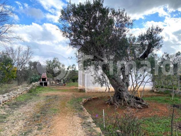 Terreno edificabile in vendita a Sannicola - Foto 10