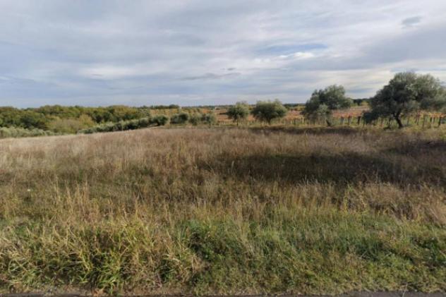 Immobile in asta di 5342 m² in vendita a Villamagna - Foto 17