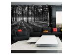Fotomurale Adesivo In Bianco E Nero Nella Foresta Arredalacasa