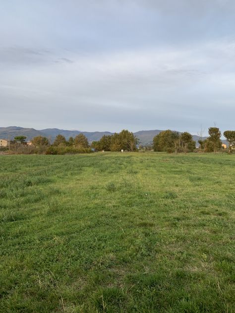 vendesi terreno agricolo - Foto 2