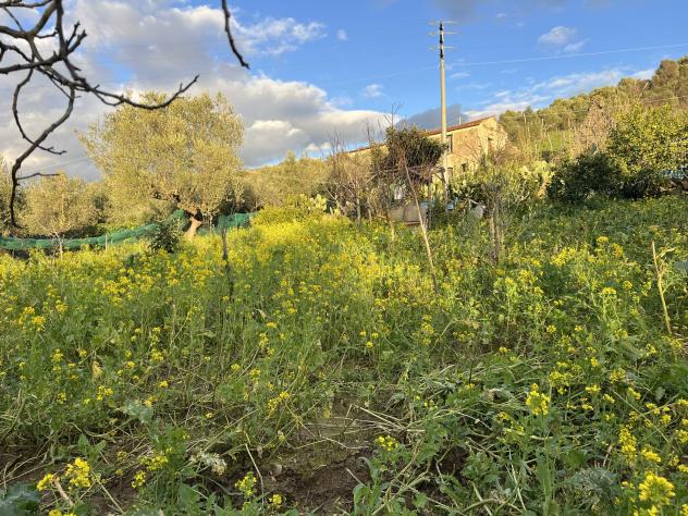 Agricolo in Via Molino Vecchio - Foto 6