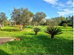 RUSTICO CON TERRENO CIRCOSTANTE