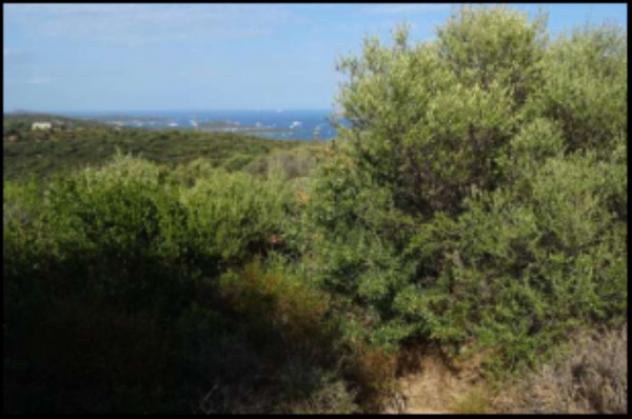 Immobile in asta di 2270 m² in vendita a Olbia - Foto 6