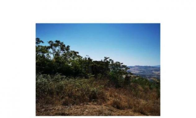 Immobile in asta di 243390 m² in vendita a Valderice - Foto 5
