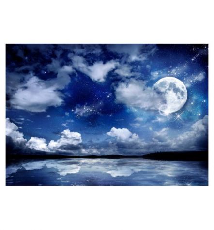 Fotomurale Adesivo Con La Luna Arredalacasa - Foto 2