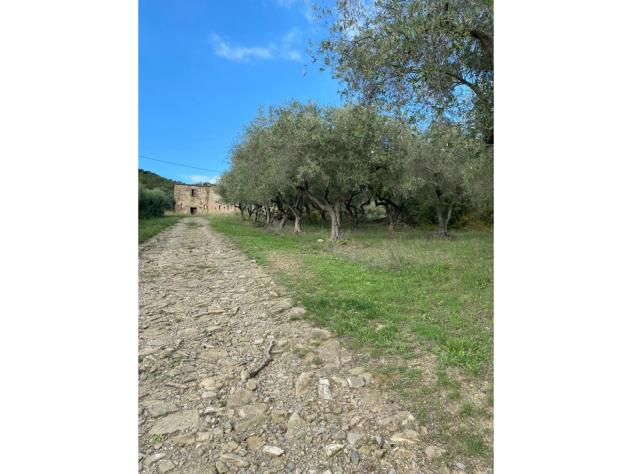 Agricolo in Via Frascinelle - Foto 9