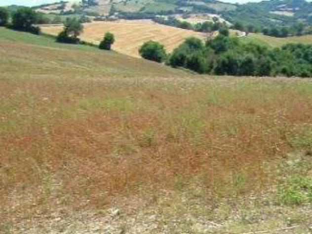 Immobile in asta di 120 m² con più di 5 locali in vendita a Pergola - Foto 3