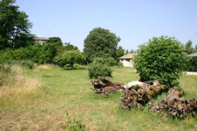 Immobile in asta di 6975 m² in vendita a Vellezzo Bellini - Foto 10