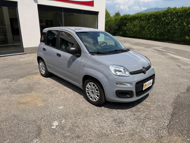 Fiat Panda 1.0 FireFly S&S Hybrid City Life - Foto 3