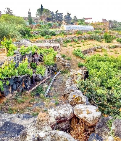 Altro in vendita a Pantelleria - Foto 5