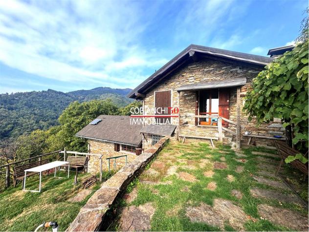 V000878 - CAPREZZO ALPE ORDARUSC , BAITA NEL BOSCO CON VISTA LAGO