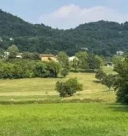 Immobile in asta di 3500 m² in vendita a Castelgomberto - Foto 3