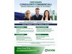 CONSULENTI COMMERCIALI – ENERGIE RINNOVABILI