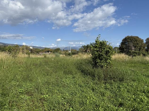 Agricolo in vendita a Giarre - Foto 3