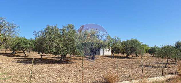 Terreno in vendita a Noto - Foto 7